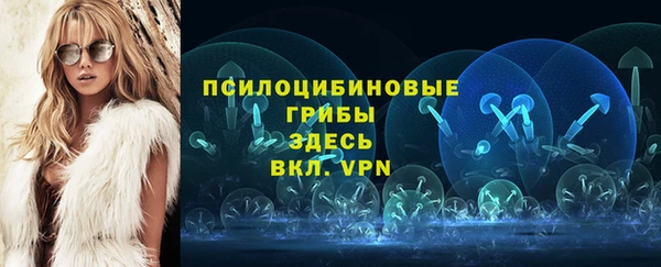 ГАЛЛЮЦИНОГЕННЫЕ ГРИБЫ Аркадак