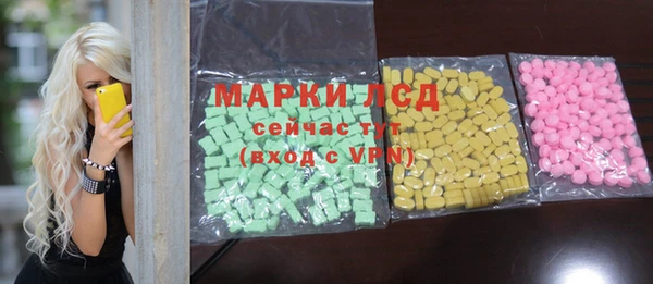 ГАЛЛЮЦИНОГЕННЫЕ ГРИБЫ Аркадак