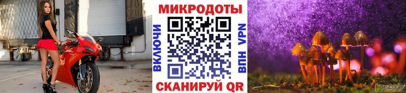 Галлюциногенные грибы Magic Shrooms  Купить где  Темрюк 